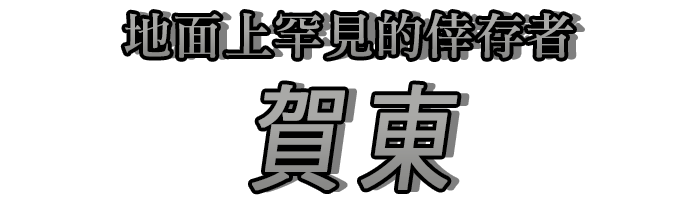 地面上罕見的倖存者「賀東」